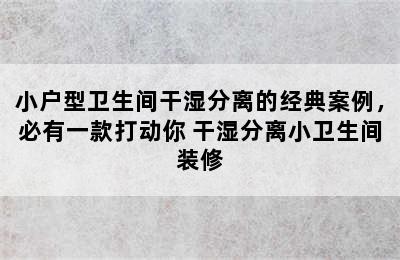 小户型卫生间干湿分离的经典案例，必有一款打动你 干湿分离小卫生间装修